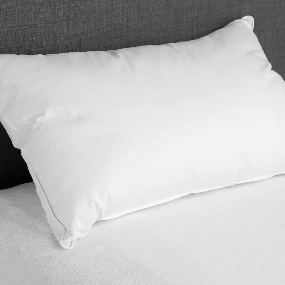 Cuscino letto Daunenstep President Piumino e piumetta Tradizionale