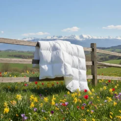Daunex Piumino d’Oca St. Moritz 4 Stagioni DUO Singolo MAXI 155x220
