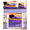 Lenzuola-copriletto in cotone Matrimoniale SAULT lavanda