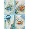 Strofinacci 50x70 Cucina Ocean | Kit 4 Pezzi 100% Cotone